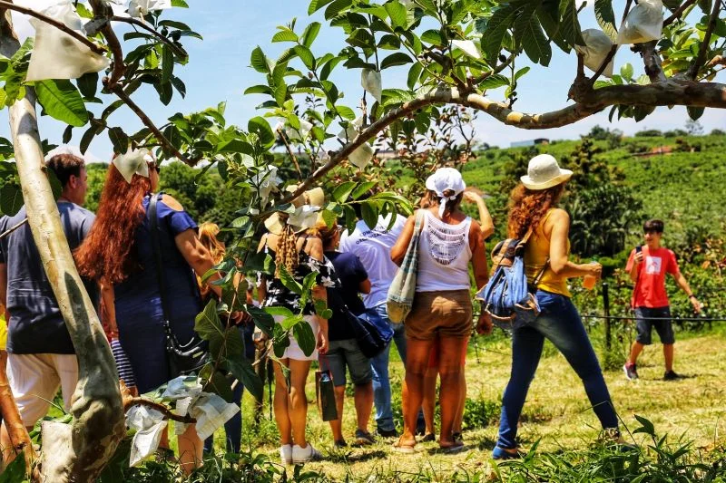 Formações Financiadas